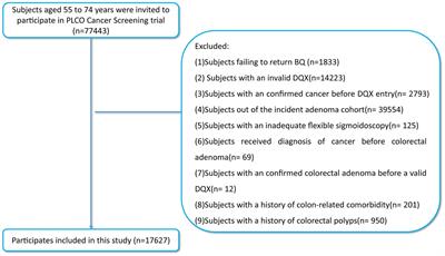 Association between sulfur microbial diet and the risk of colorectal cancer precursors in older adults
